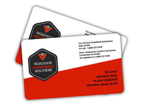 Silver Member Plan